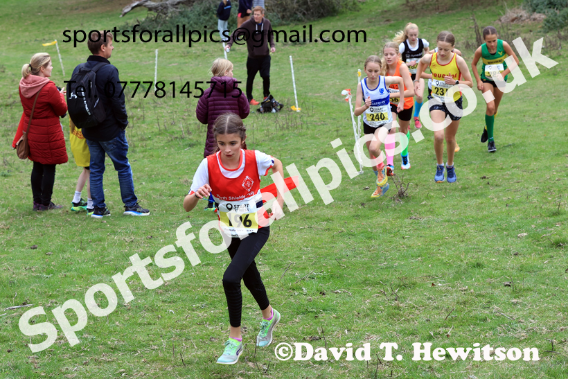 Girls Under-13s 2025 Start Fitness NEHL, Thornley Hall Farm, Peterlee, County Durham. Photo: David T. Hewitson/Sports for All Pics